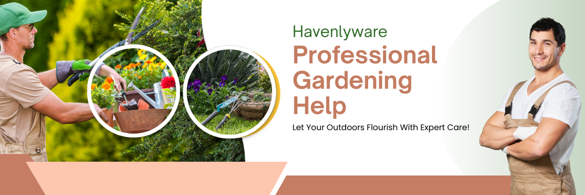 Home Gardening